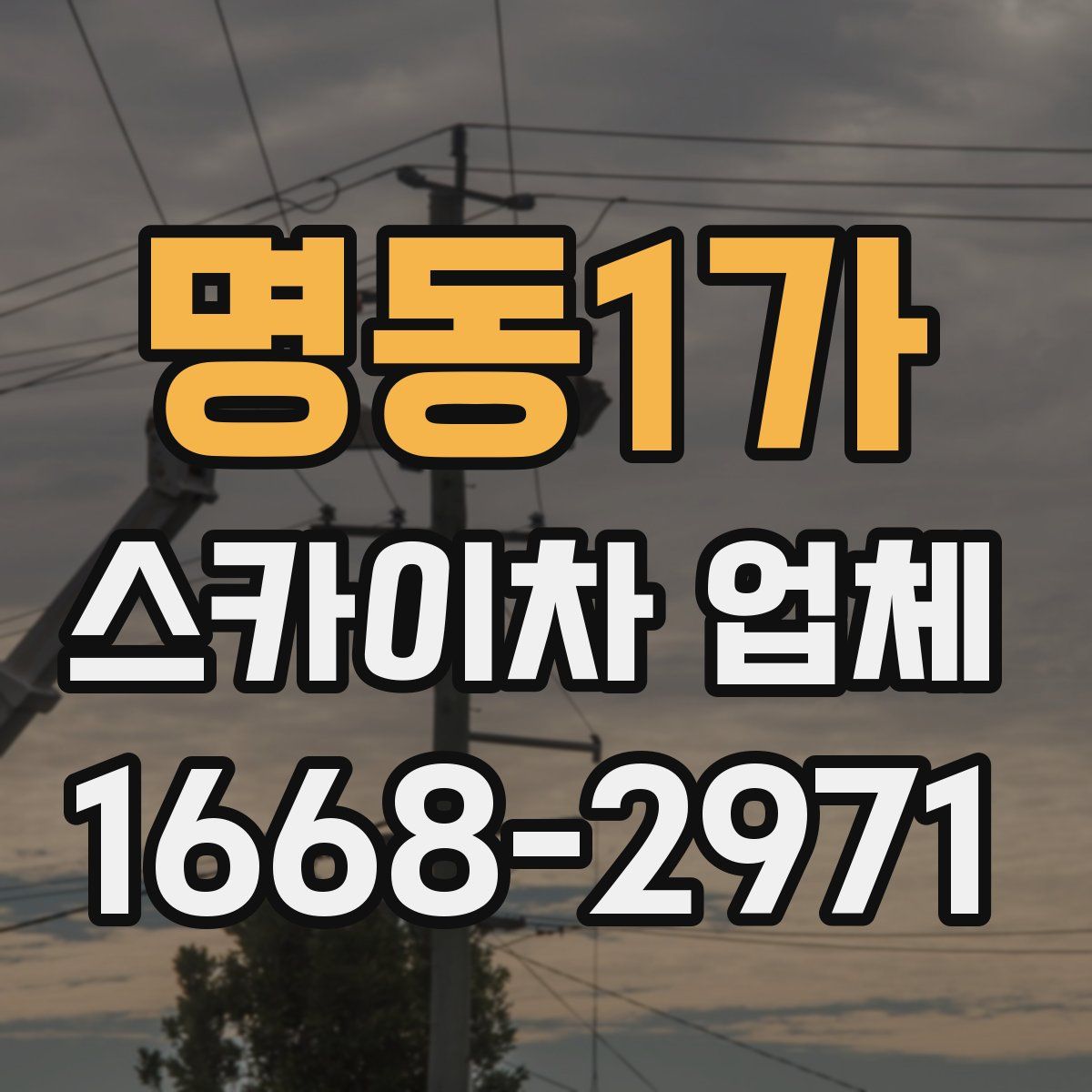 명동1가 스카이차 업체
