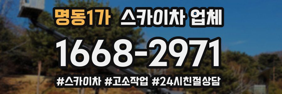 명동1가 스카이차 업체
