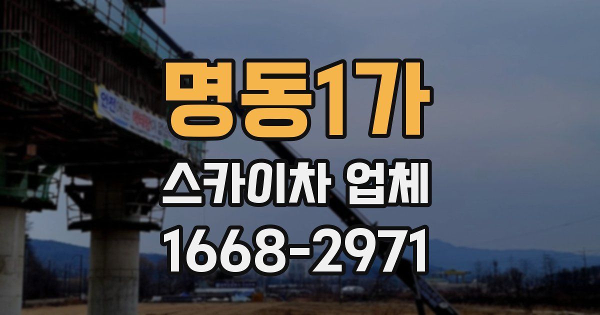 명동1가 스카이차 업체