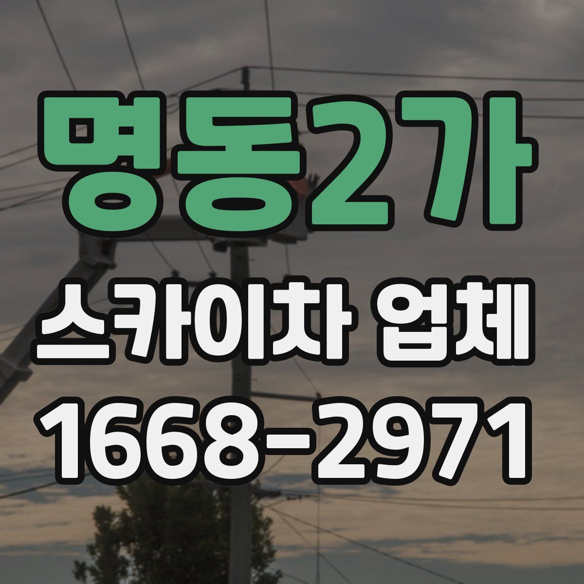 명동2가 스카이차 업체