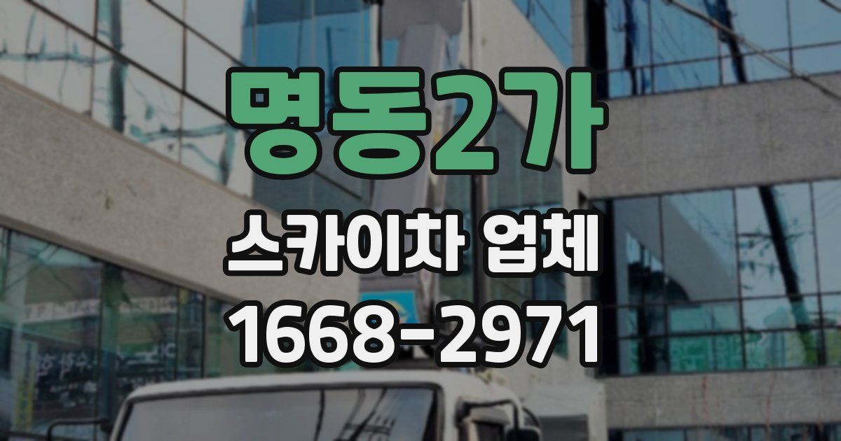 명동2가 스카이차 업체