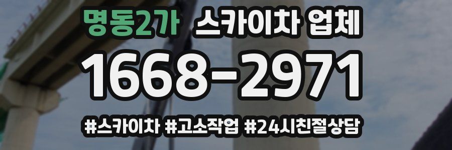 명동2가 스카이차 업체