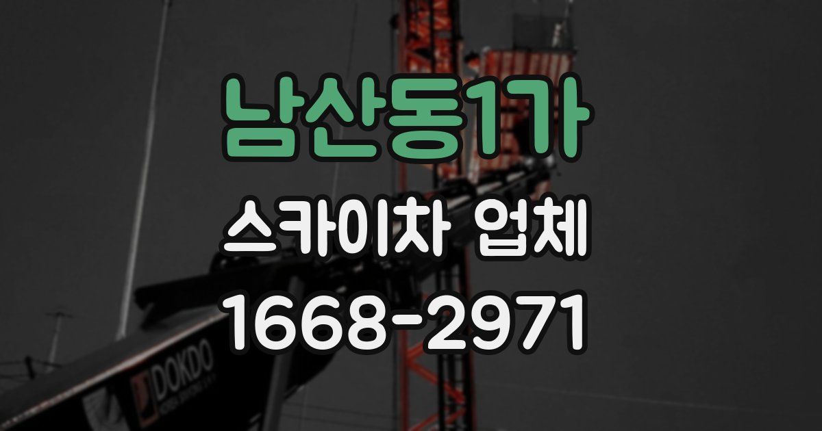 남산동1가 스카이차 업체