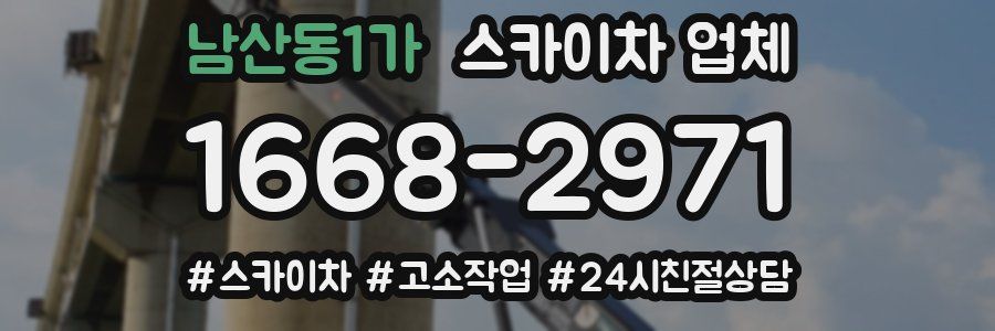 남산동1가 스카이차 업체
