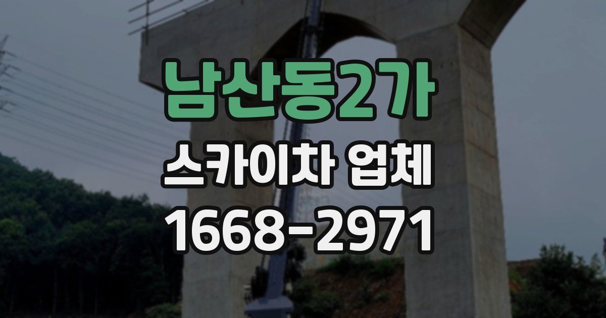 남산동2가 스카이차 업체