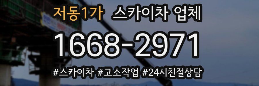 저동1가 스카이차 업체