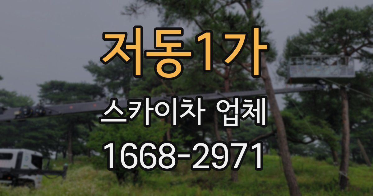 저동1가 스카이차 업체