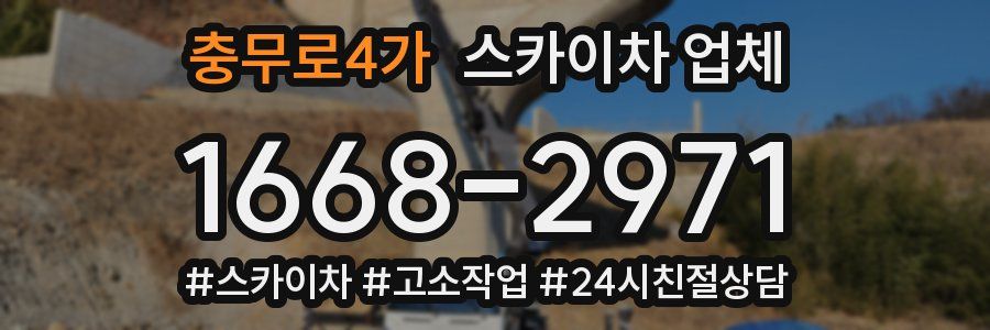충무로4가 스카이차 업체