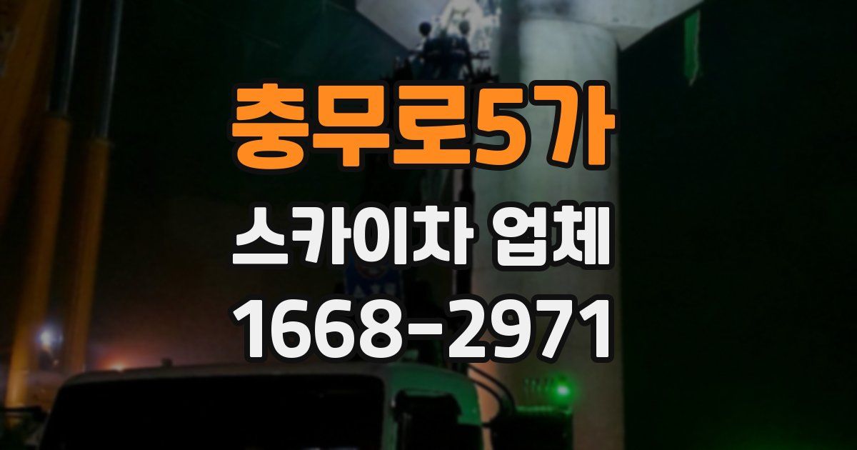 충무로5가 스카이차 업체
