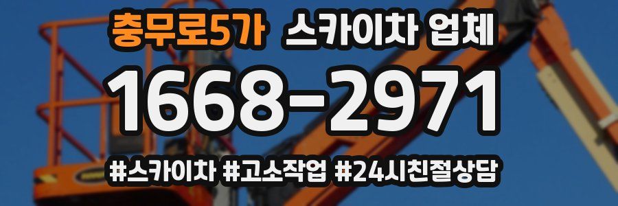 충무로5가 스카이차 업체