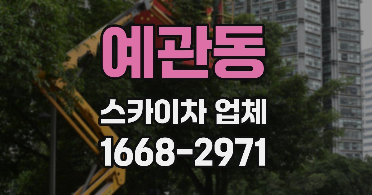 예관동 스카이차 업체