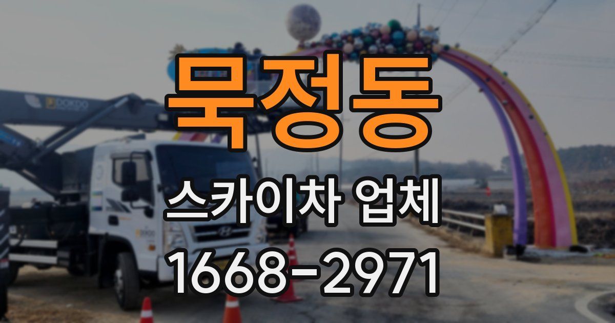 묵정동 스카이차 업체