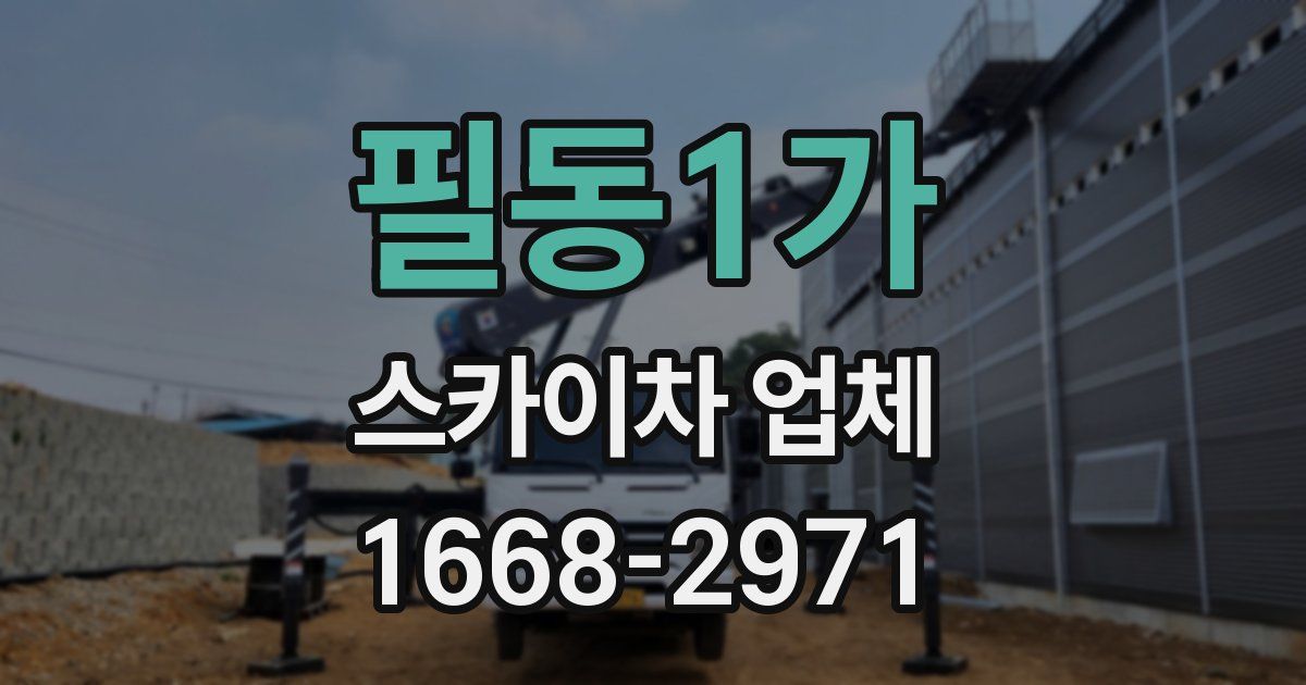 필동1가 스카이차 업체