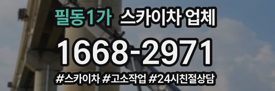 필동1가 스카이차 업체