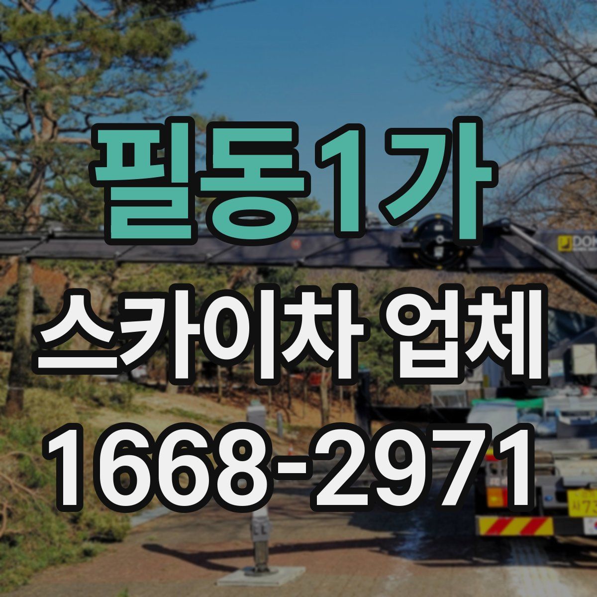 필동1가 스카이차 업체