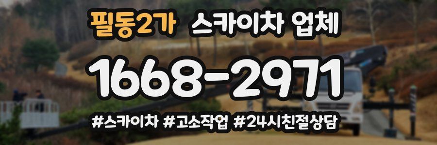 필동2가 스카이차 업체