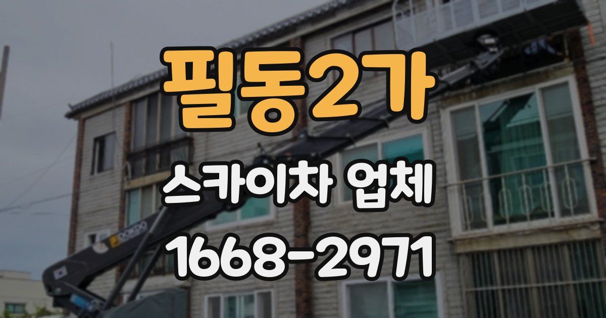 필동2가 스카이차 업체