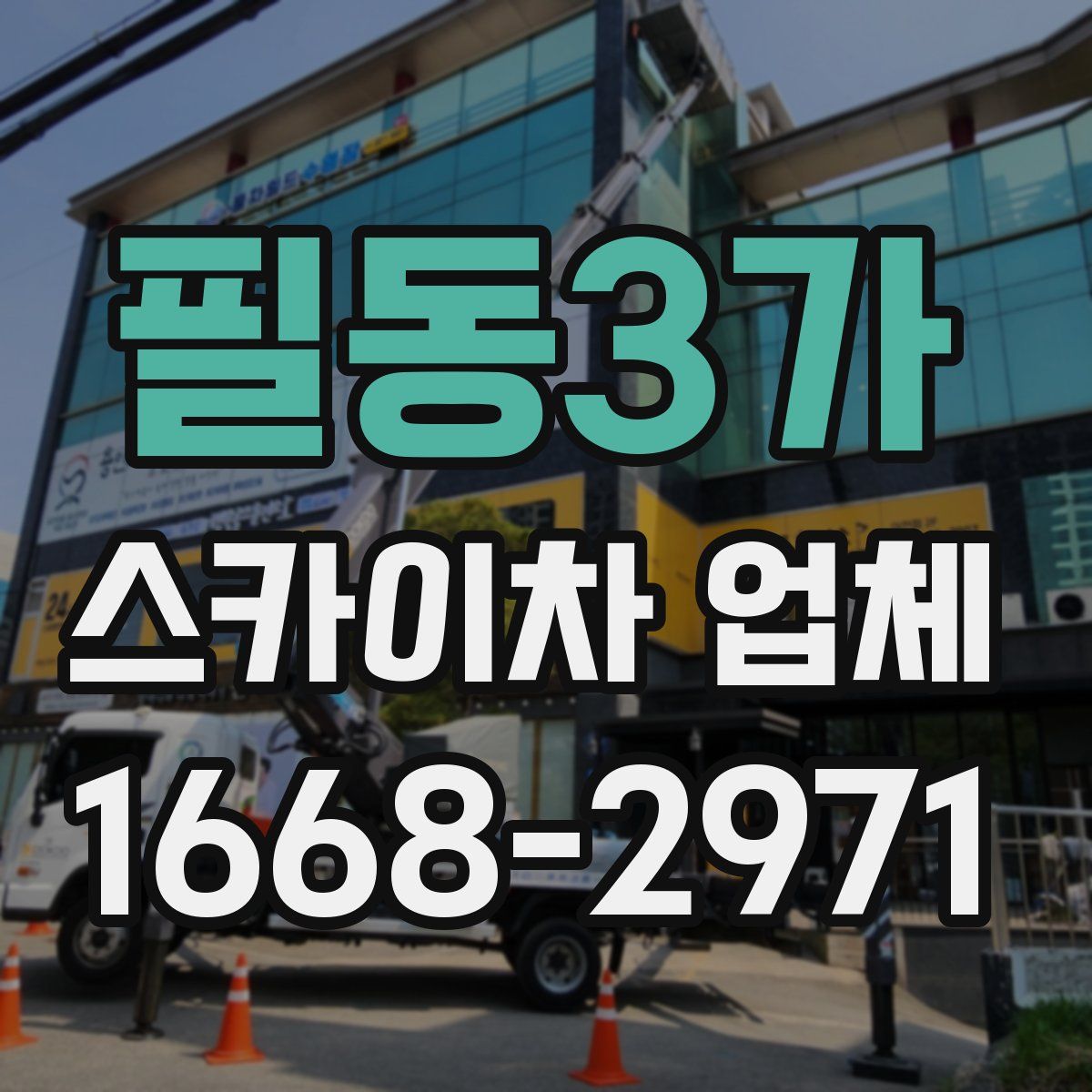 필동3가 스카이차 업체