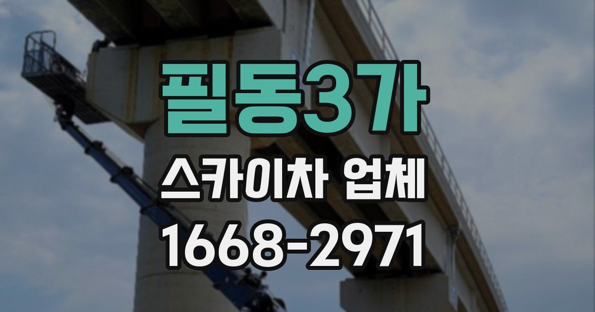 필동3가 스카이차 업체