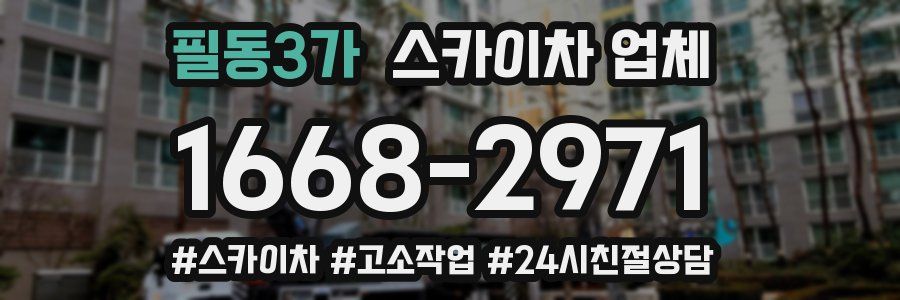 필동3가 스카이차 업체