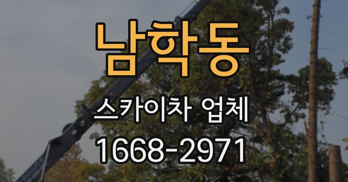 남학동 스카이차 업체