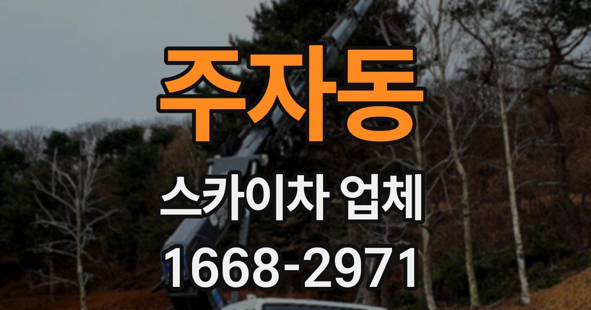 주자동 스카이차 업체