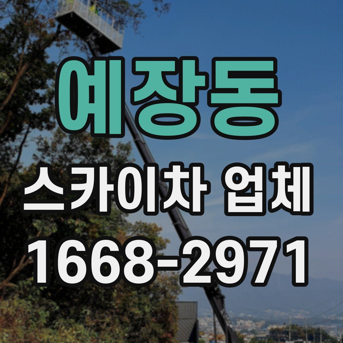 예장동 스카이차 업체