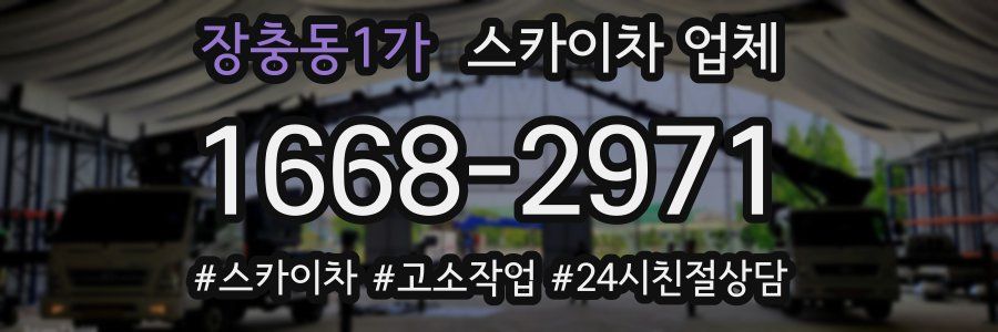 장충동1가 스카이차 업체