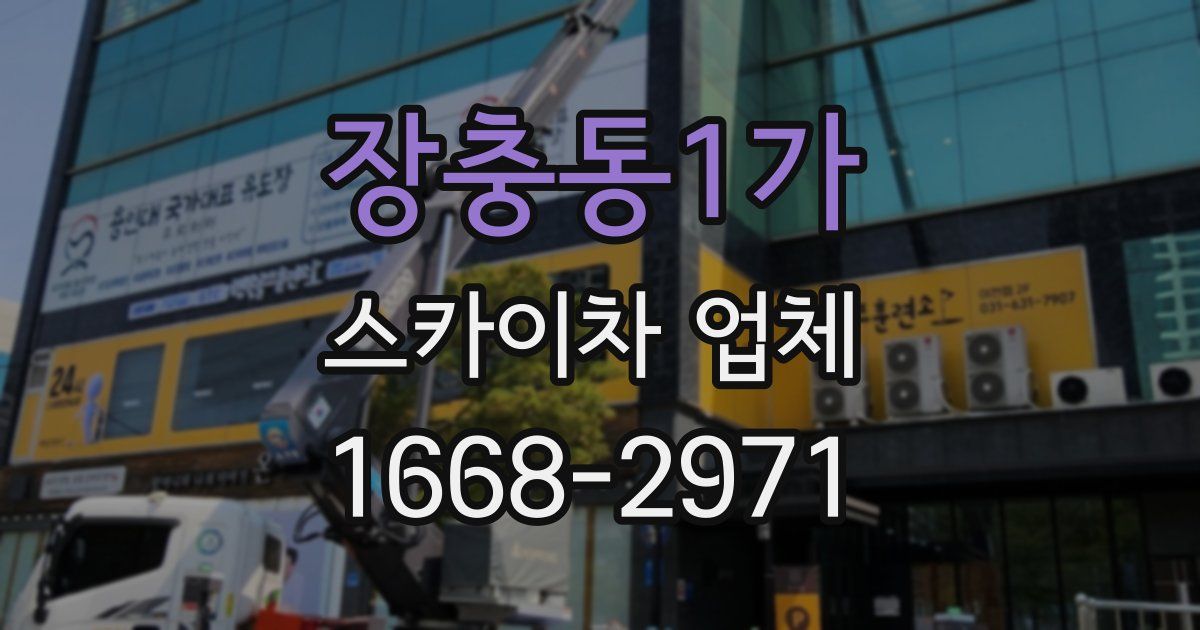 장충동1가 스카이차 업체