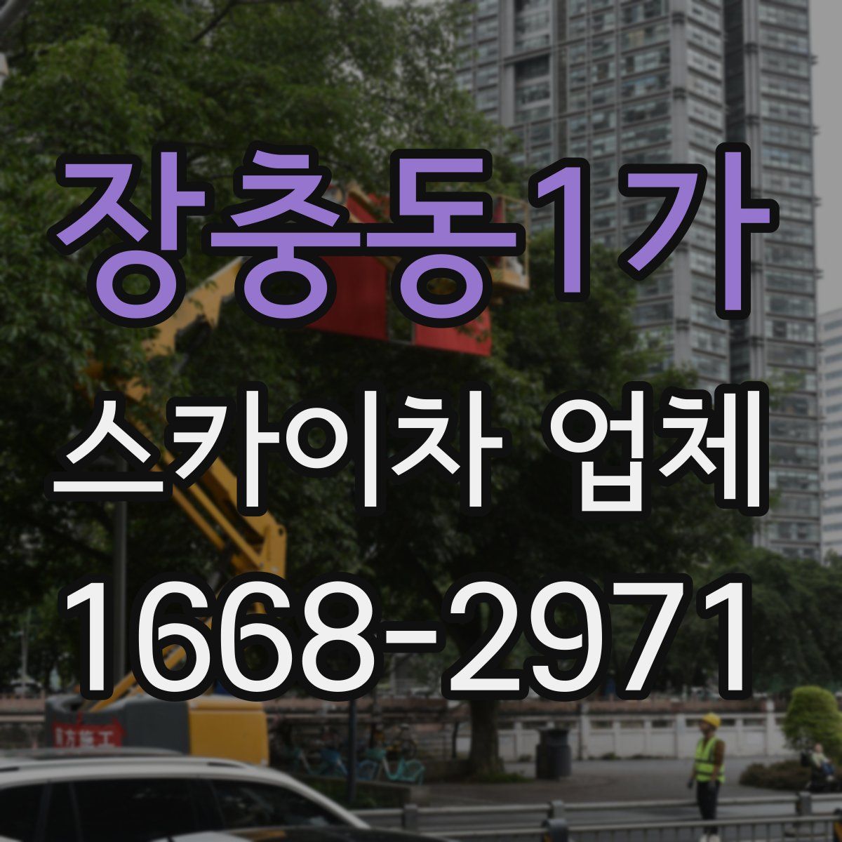 장충동1가 스카이차 업체