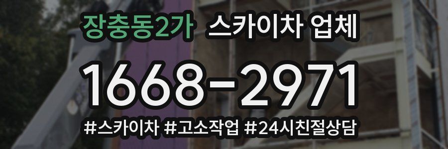 장충동2가 스카이차 업체