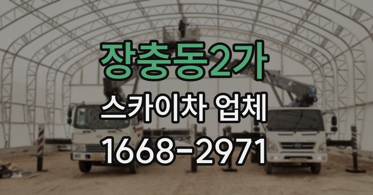 장충동2가 스카이차 업체