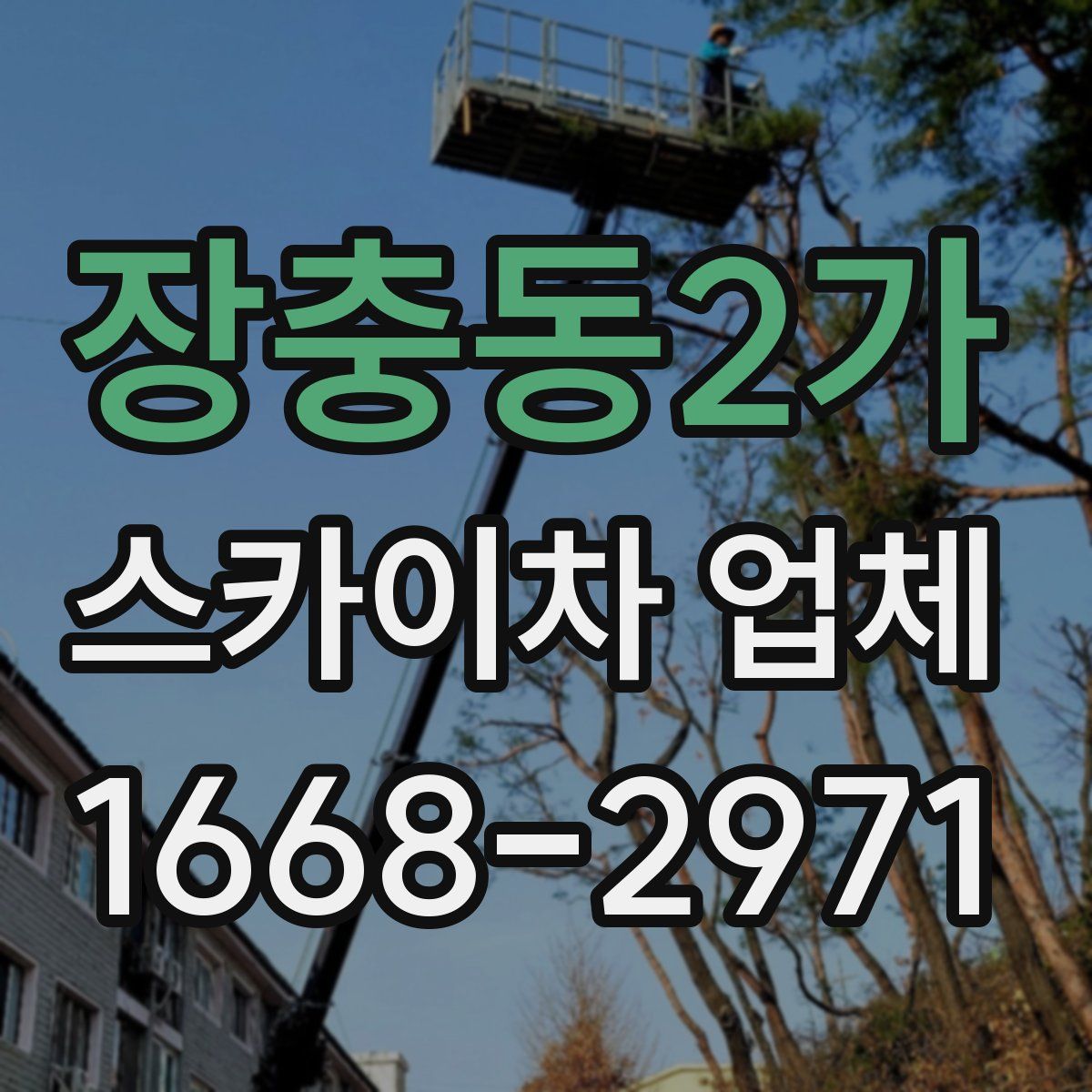 장충동2가 스카이차 업체
