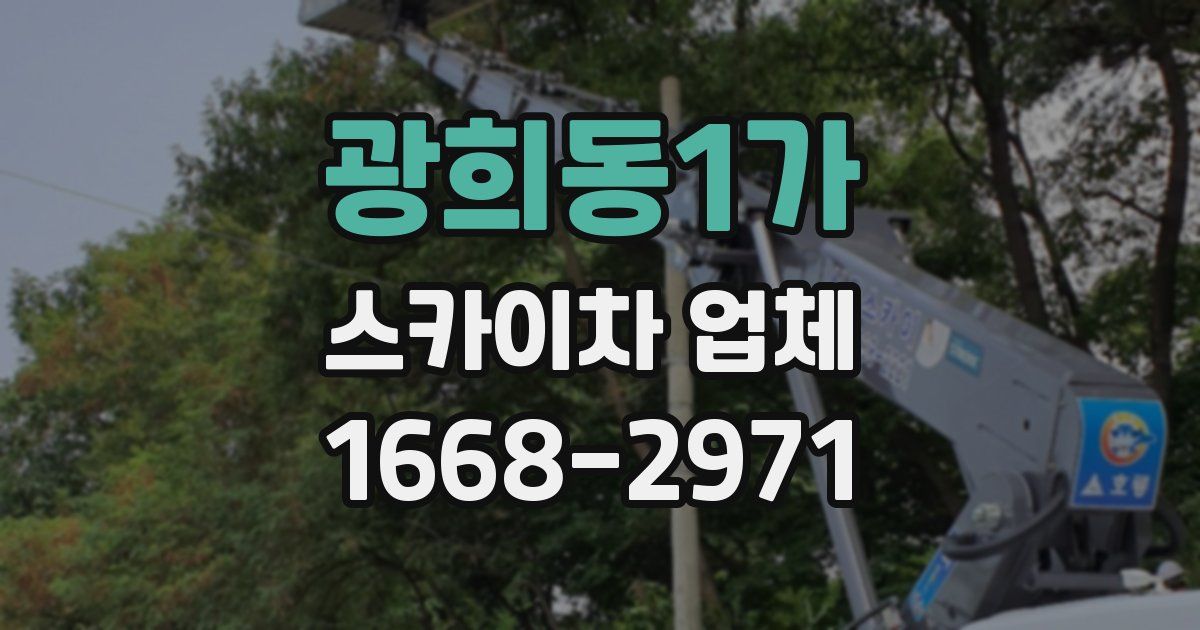 광희동1가 스카이차 업체