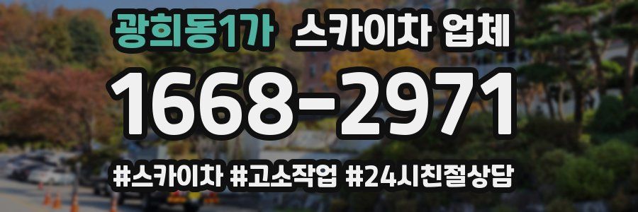 광희동1가 스카이차 업체