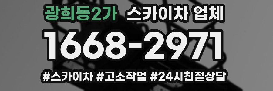광희동2가 스카이차 업체