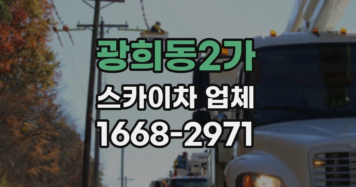 광희동2가 스카이차 업체