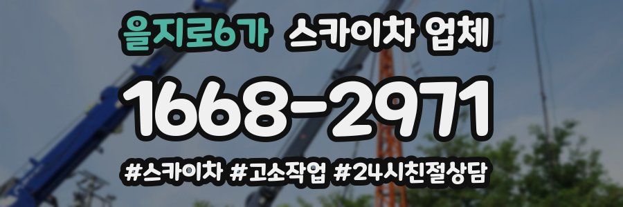 을지로6가 스카이차 업체