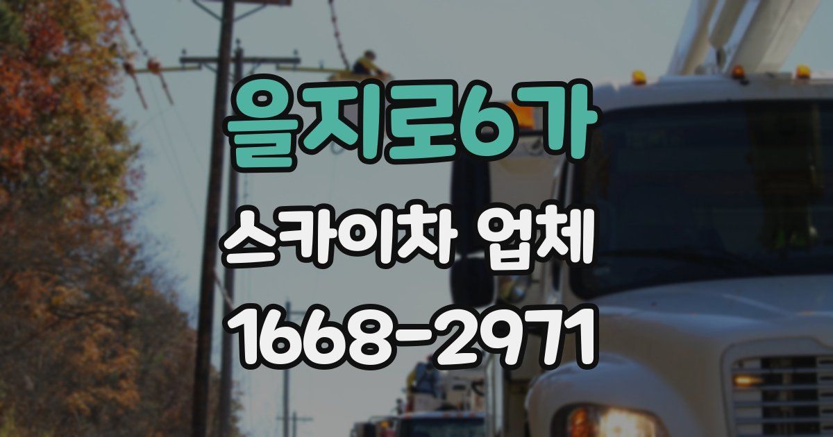 을지로6가 스카이차 업체