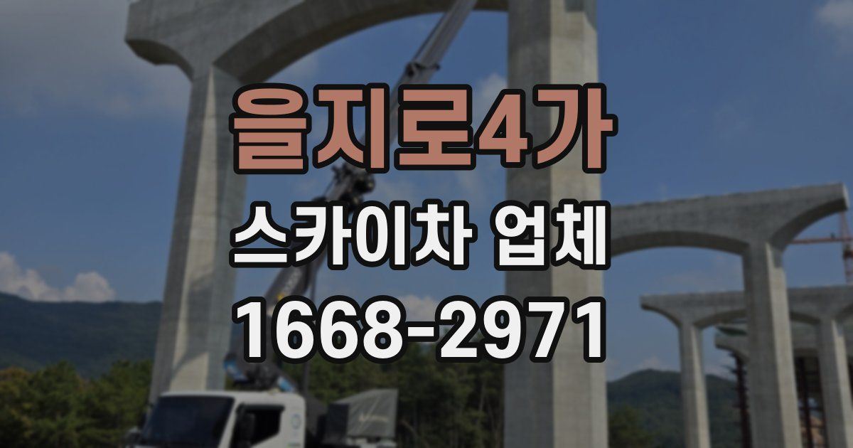 을지로4가 스카이차 업체