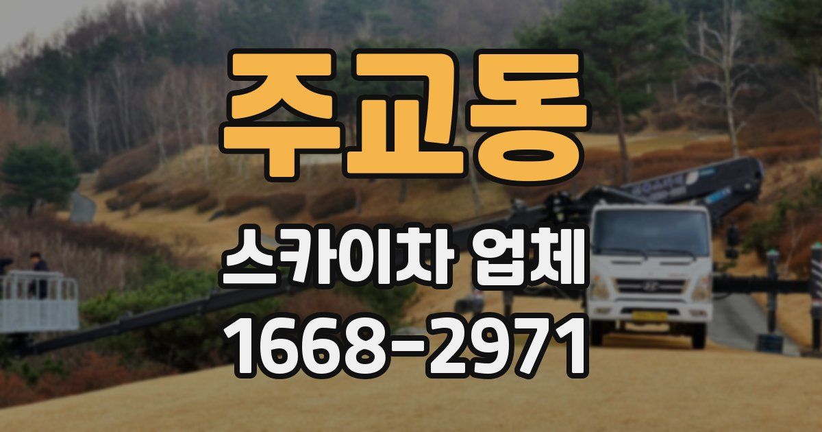 주교동 스카이차 업체