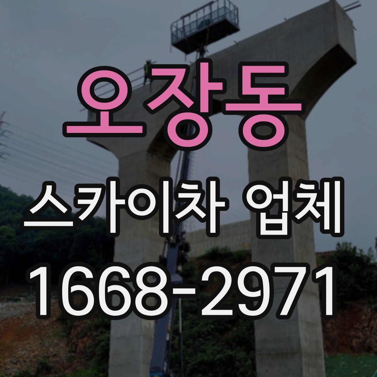 오장동 스카이차 업체