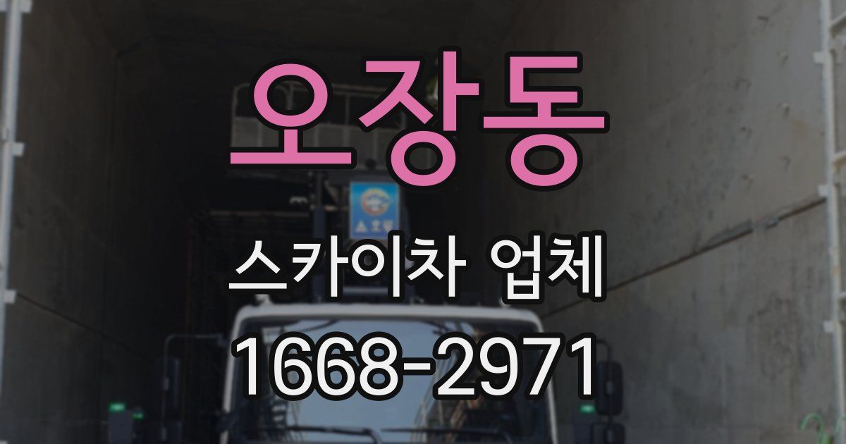오장동 스카이차 업체