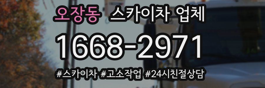 오장동 스카이차 업체