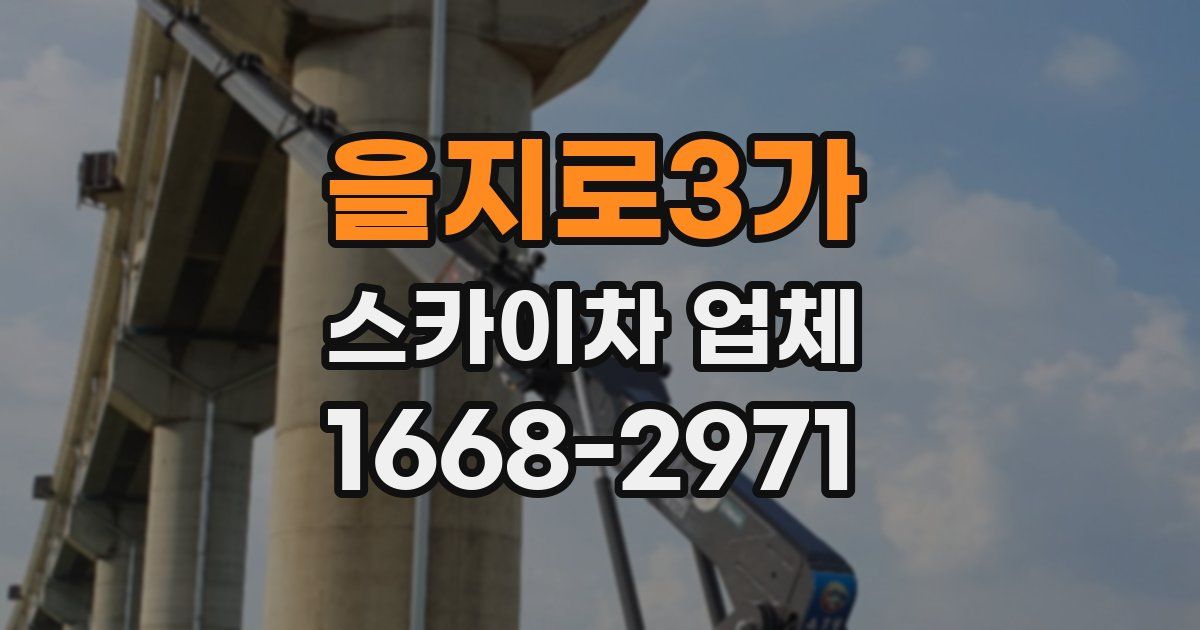 을지로3가 스카이차 업체