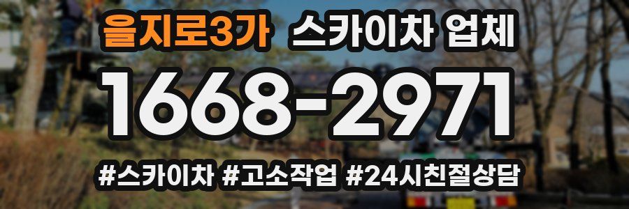 을지로3가 스카이차 업체