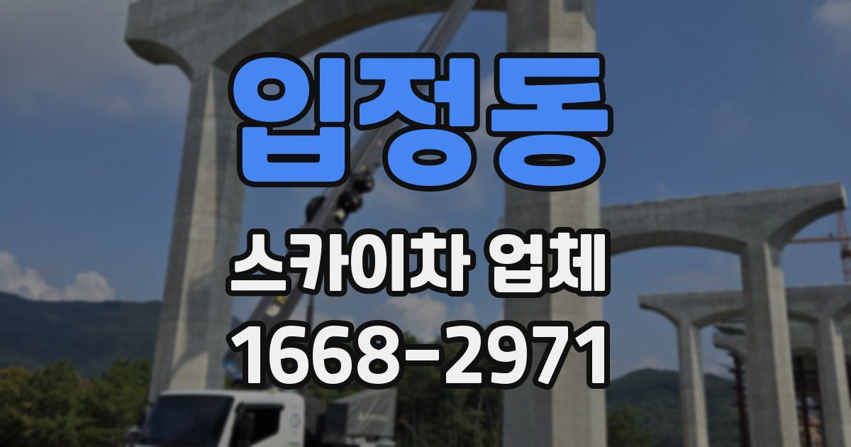 입정동 스카이차 업체