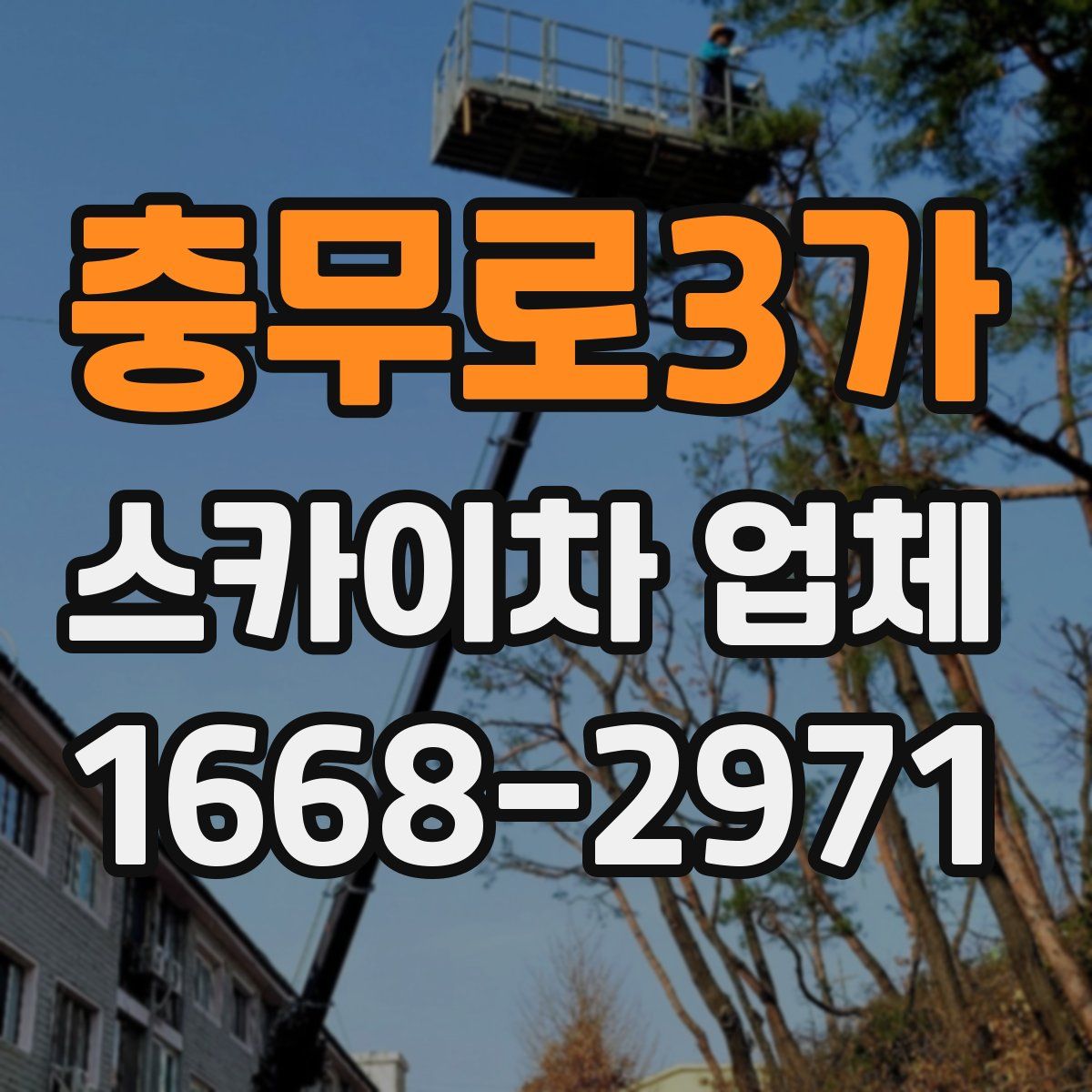 충무로3가 스카이차 업체