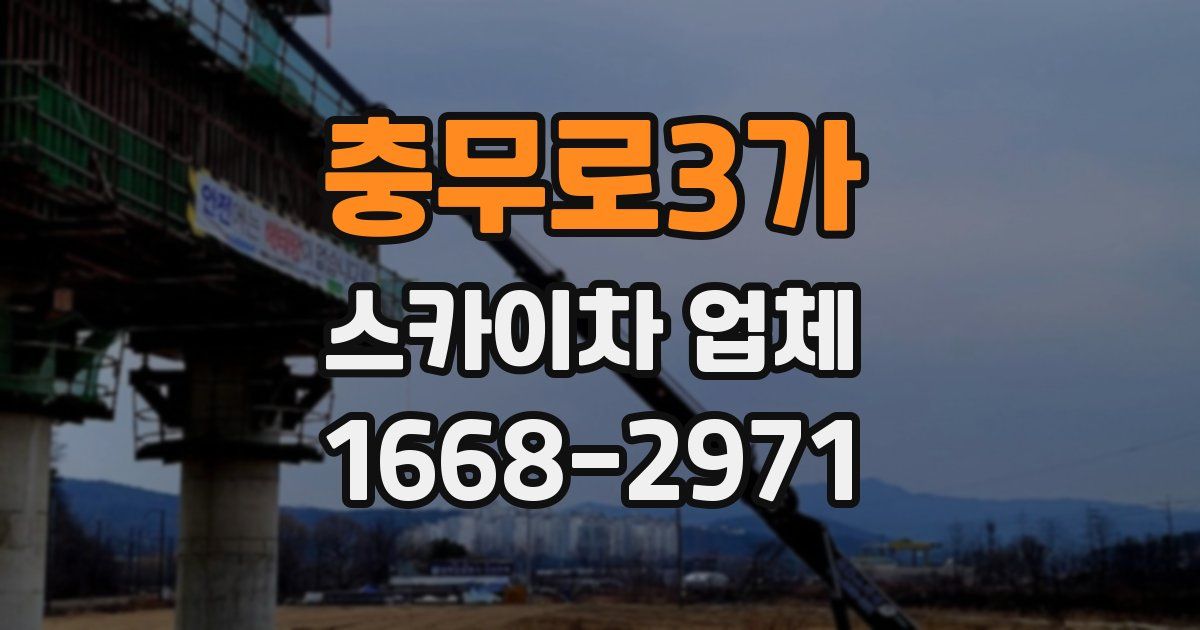 충무로3가 스카이차 업체