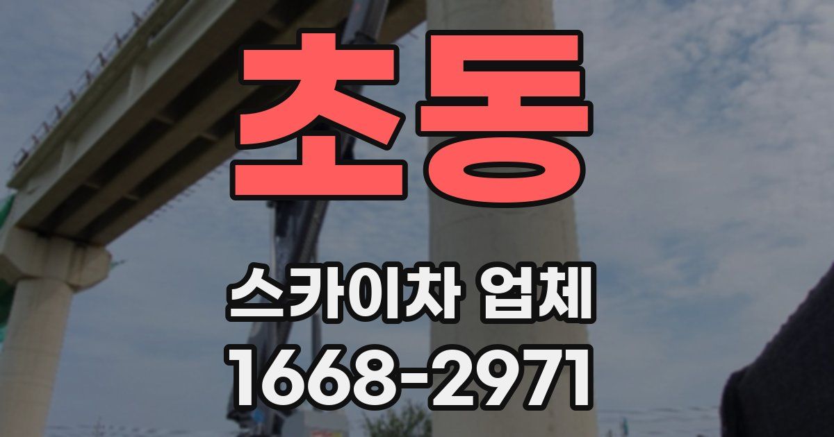 초동 스카이차 업체